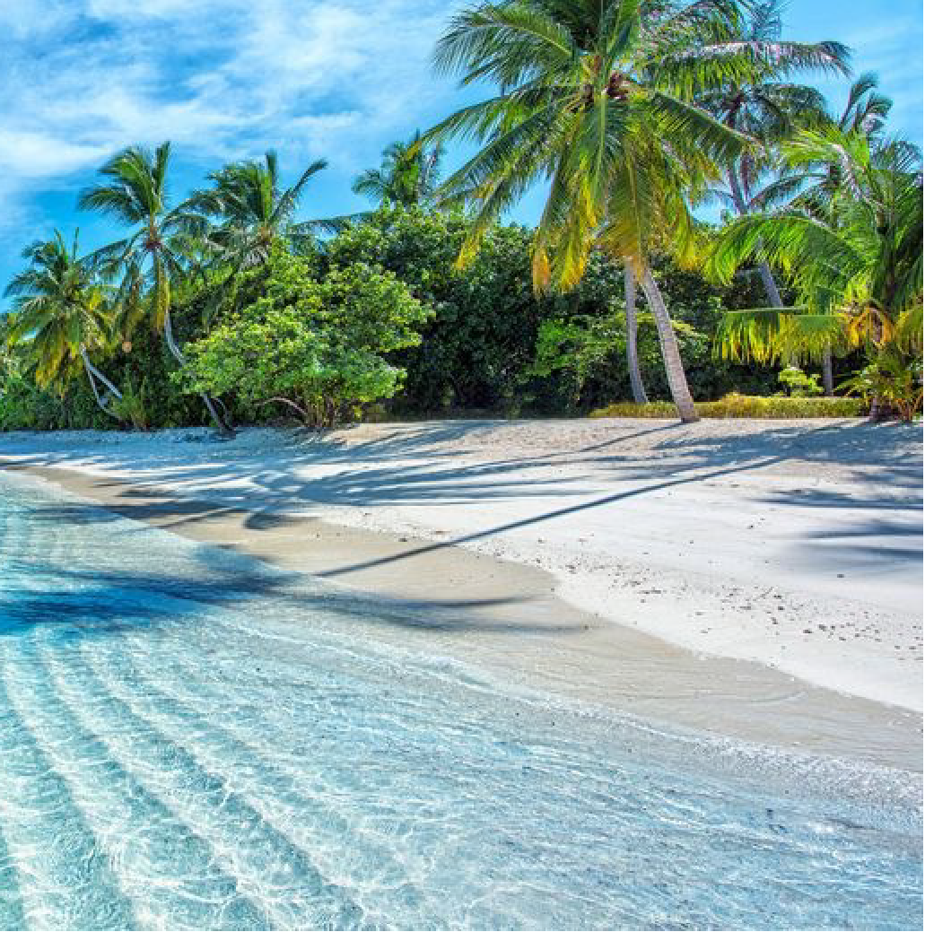 OFFRE DE SEJOUR AUX MALDIVES